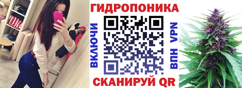 OMG сайт  площадка клад  Бошки марихуана AK-47  Новопавловск 